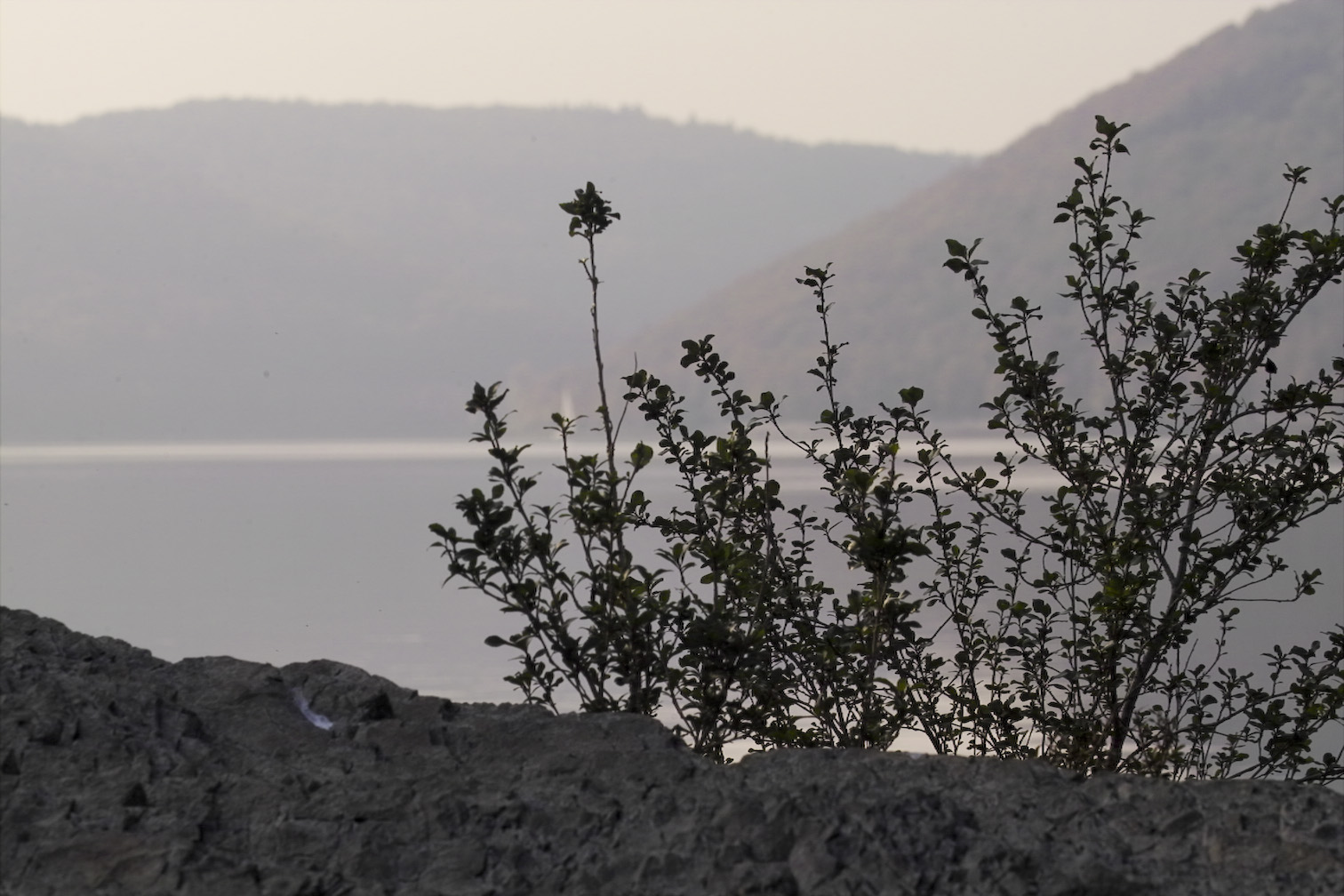 Edersee 10 2007img04143