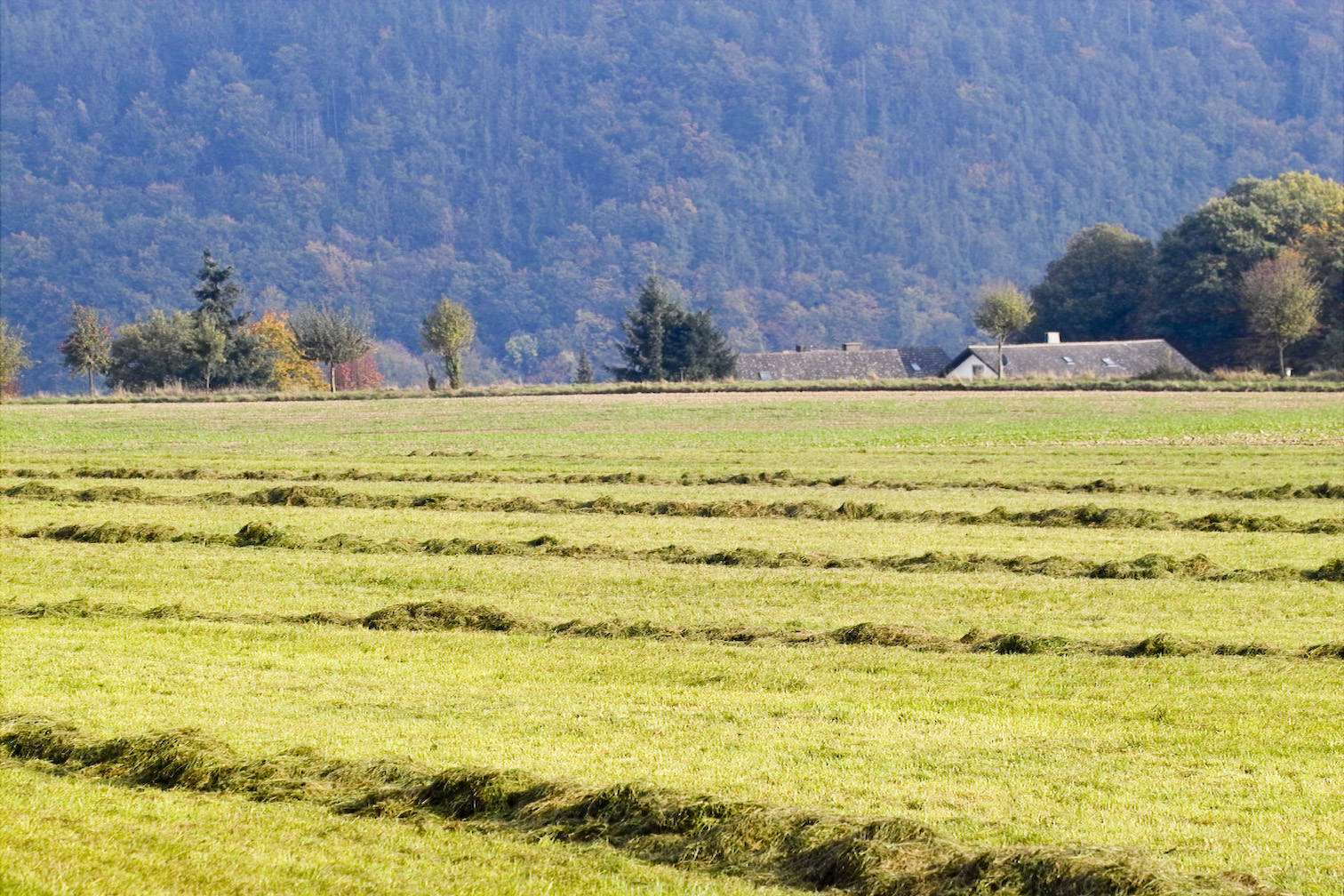 Edersee 10 2007img04164